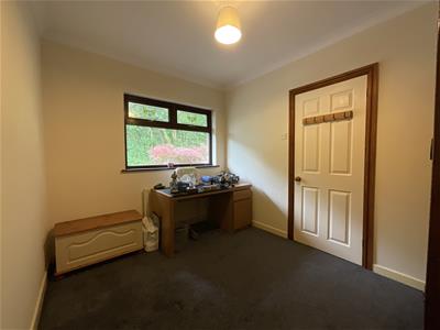 Picture 27